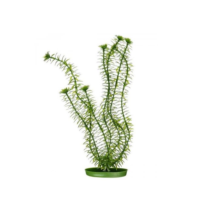 Декорація Hagen Anacharis, рослина пластикове, 20 см