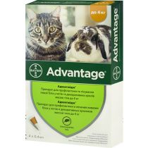 Краплі від бліх Bayer Advantage 40 для котів і кошенят менше 4 кг, ціна за 1 піпетку