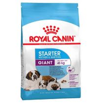 Сухий корм Royal Canin Giant Starter для годуючих собак гігантських порід, 1 кг