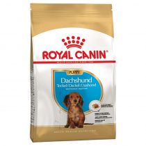 Сухий корм Royal Canin Dachshund Puppy для цуценя такси до 10 місяців, 1.5 кг