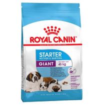 Сухий корм Royal Canin Giant Starter для годуючих собак гігантських порід, 4 кг