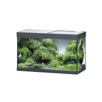 Акваріум EHEIM vivaline LED 126 13 Вт антрацитовий, без тумби (80x45x35, 126л)