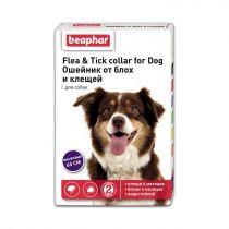 Нашийник Beaphar проти бліх та кліщів для собак, фіолетовий, 65 см