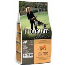 Сухий корм Pronature Holistic Adult Duck&Orange з качкою і апельсинами, без злаків, для собак, 100 г