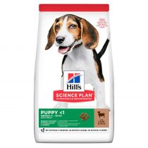 Сухий корм Hill's Science Plan Puppy Medium для цуценят, з ягням і рисом, 800 г