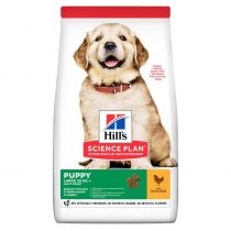 Сухий корм Hill's Science Plan Puppy Large Breed для собак, з куркою, 800 г