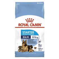 Сухий корм Royal Canin Maxi Starter для годуючих собак великих порід, 15 кг