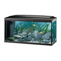 Скляний акваріум Ferplast Cayman 110 Professional Black T5 з лампами, внутрішнім фільтром і таймером, 230 л