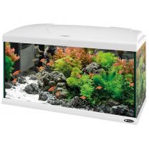 Скляний акваріум Ferplast Capri 80 White з лампою і внутрішнім фільтром, білий, 100 л