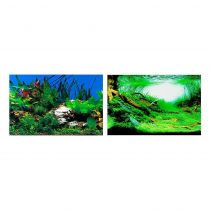 Двосторонній акваріумний фон Ferplast BLU 9049 із зображенням рослин, 100x50 см