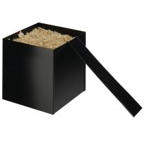 Гніздо Ferplast L104 Rodent Nest Black для щурів з металу