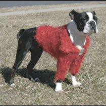 Кофточка Doggyduds Shaggy Shrug для собак середніх і дрібних порід, розмір M, червона