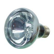 Неодимова лампа REPTI-ZOO Neodymium Daylight 100W B80100