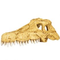 Череп крокодила REPTI-ZOO Crocodile Skull ERS34S S 11x6x4 см