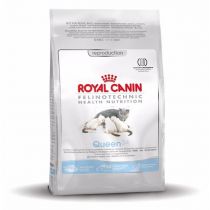 Сухий корм Royal Canin Queen для кішок в період тічки, вагітності та лактації, 4 кг