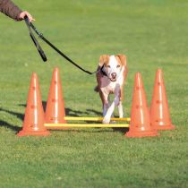 Набір перешкод Trixie Dog Activity для собак, пластик, помаранчевий та жовтий, 100 см, 30×50 см