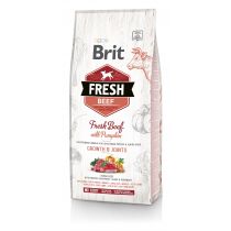 Сухий корм Brit Fresh Beef Pumpkin Puppy Large, для цуценят великих порід, 2.5 кг