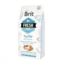 Сухий корм Brit Fresh Fish/Pumpkin Adult Large, для собак великих порід, 2.5 кг