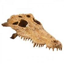 Декорація для тераріуму Hagen Exo Terra череп крокодила
