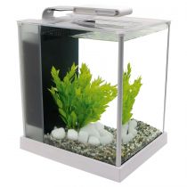 Аквариумный комплект Hagen Fluval Spec, 10 л