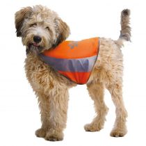 Жакет світловідбиваючий Croci Visibility, для собак, помаранчевий, розмір XS