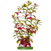 Декорація Hagen Red Ludwigia, 30 см