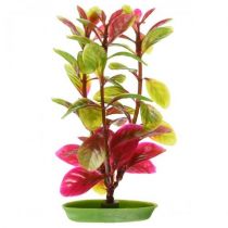 Декорація Hagen Red Ludwigia, 13 см