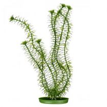 Декорація Hagen Anacharis, рослина пластикове, 30 см