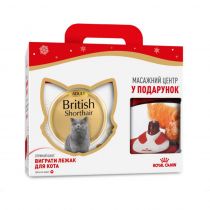 Сухий корм Royal Canin British Adult для британських короткошерстих котів, 4 кг + масажний центр у подарунок