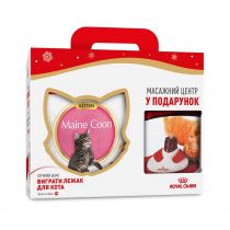 Сухий корм Royal Canin Maine Coon Kitten для кошенят мейн-кунів, 4 кг + масажний центр у подарунок