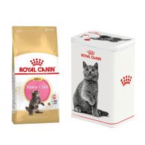 Сухий корм Royal Canin Maine Coon Kitten для кошенят мейн-кунів до 15 місяців, 2 кг + контейнер у подарунок