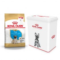 Сухий Food Royal Canin Pug Puppy для цуценят мопса до 10 місяців, 1.5 кг + контейнер у подарунок