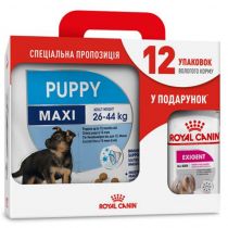 Сухий корм Royal Canin Maxi Puppy для цуценят великих порід з 2 до 15 місяців, 4 кг + 12 паучів у подарунок