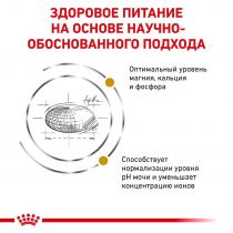 Сухий корм Royal Canin Urinary S/O при сечокам'яній хворобі у кішок, 9 кг