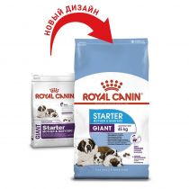Сухий корм Royal Canin Giant Starter для годуючих собак гігантських порід, 4 кг