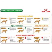 Сухий корм Royal Canin Mature Consult для кішок від 7 років без видимих ​​ознак старіння, 1.5 кг