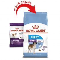 Сухий корм Royal Canin Giant Puppy для цуценят гігантських порід до 8 місяців, 1 кг