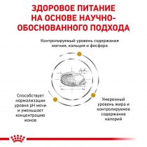 Сухий корм Royal Canin Urinary S/O Moderate Calorie при сечокам'яній хворобі у котів, 400 г