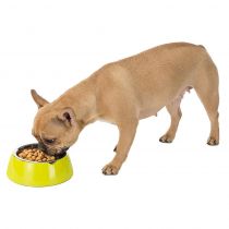 Ferplast Jolie Small Black Bowl металева миска для собак і кішок, 17,1 см