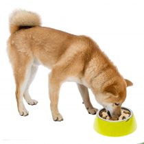 Ferplast Jolie Large Green Bowl металева миска для собак і кішок, 23 см