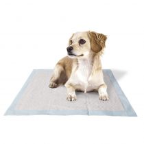 Гігієнічні пелюшки Genico Basic для собак, 60x60 см