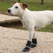 Захисне взуття Ferplast Protective Shoes Black для собак, розмір L, чорна, 8×9×10 см