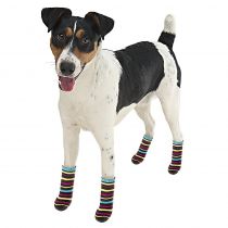 Шкарпетки Ferplast Pet Socks Antislip Small з антиковзаючою підошвою, для собак, різнокольорові, 6.5×2.5×0.8 см