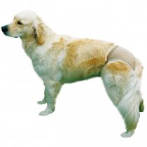 Захисні труси Trixie №1 для собак, бежеві, 24-31 см