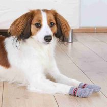 Шкарпетки Trixie з антиковзанням, для собак, бавовна, розмір XXS-XS, сірий