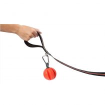 Іграшка DEXAS Off Leash Reaction Ball М'яч з карабіном, для собак, помаранчева