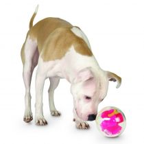 Інтерактивна іграшка для собак Planet Dog Mazee м'яч-лабіринт, рожевий, 12.5 см