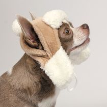 Шапка Pet Fashion Bubo для собак, розмір S, бежевий