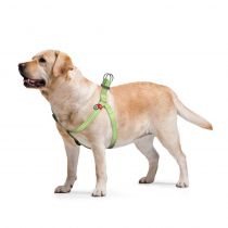 Шлея светоотражающая WAUDOG Re-cotton для собак, с QR паспортом, хлопок/пластик, M, 20 мм/50-80 см, салатовый
