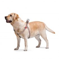 Шлея світловідбивна WAUDOG Re-cotton для собак, з QR паспортом, бавовна/пластик, M, 22 мм/50-80 см, коричневий